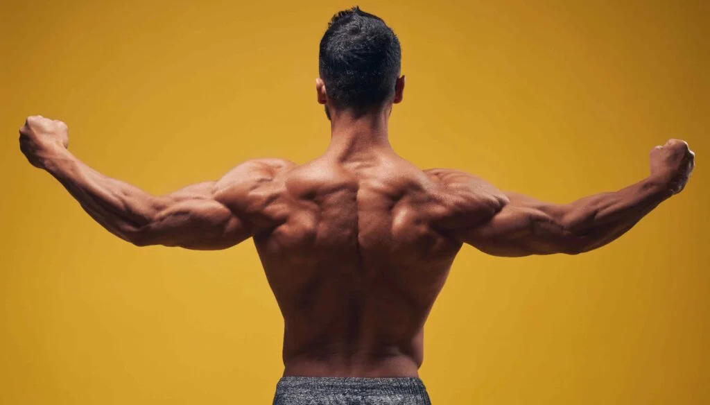 back