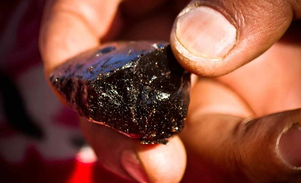 shilajit and ashwagandha