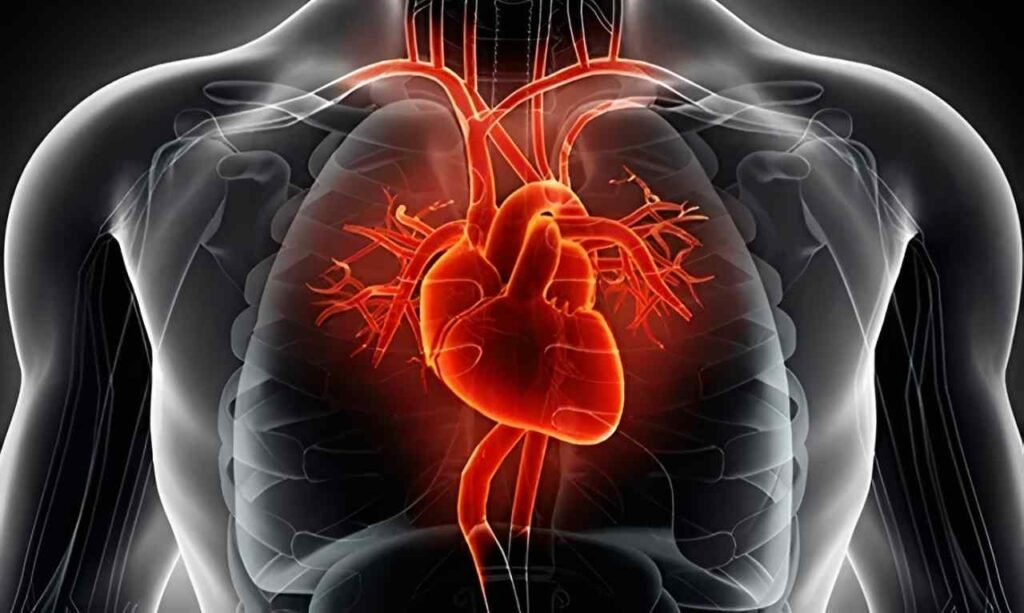 heart health